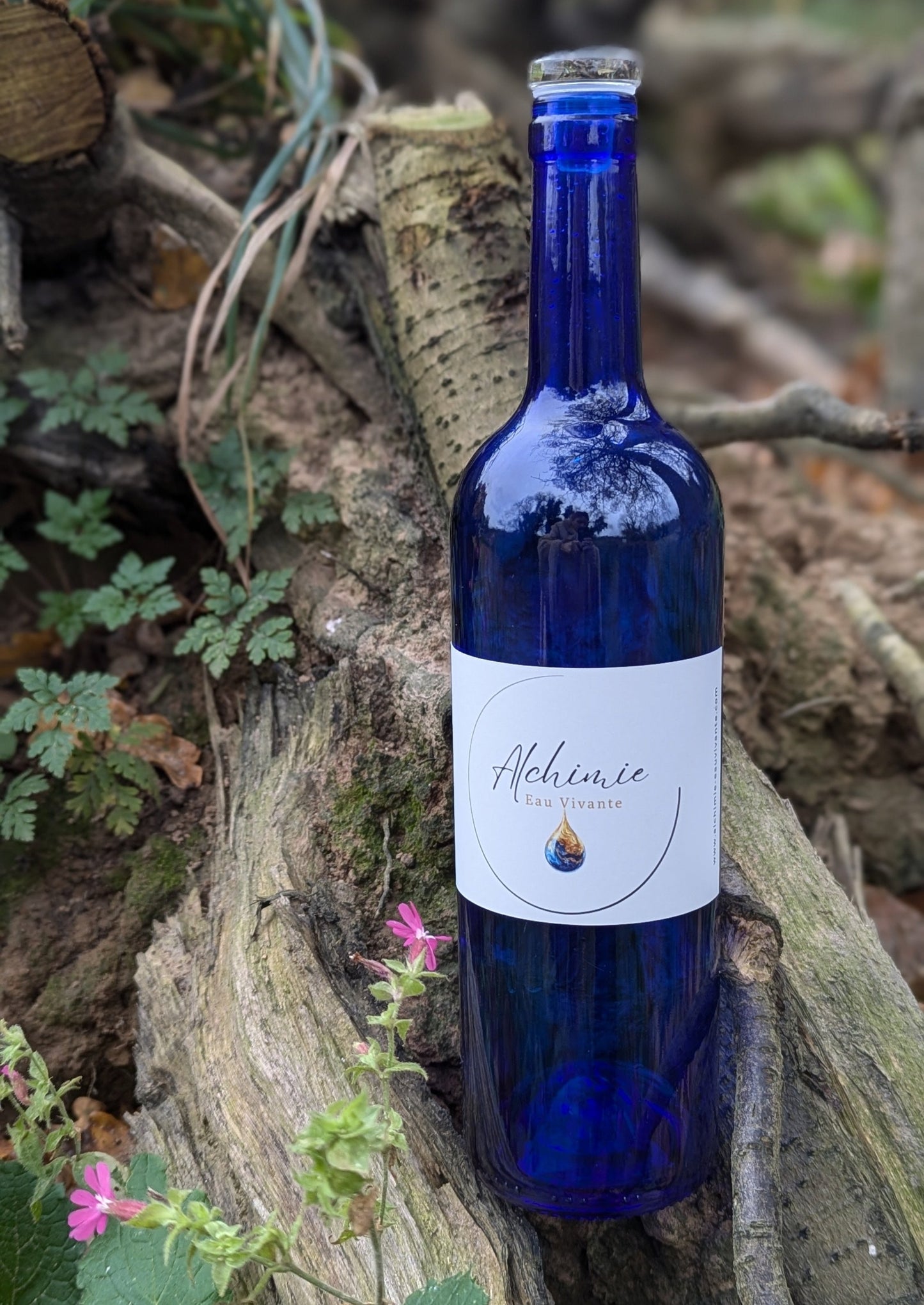 Bouteille "Alchimie, Eau Vivante" : Dynamisation et Structuration de l'Eau du Robinet