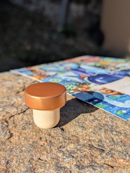 BOUCHON réutilisable pour bouteille Alchimie couleur au choix