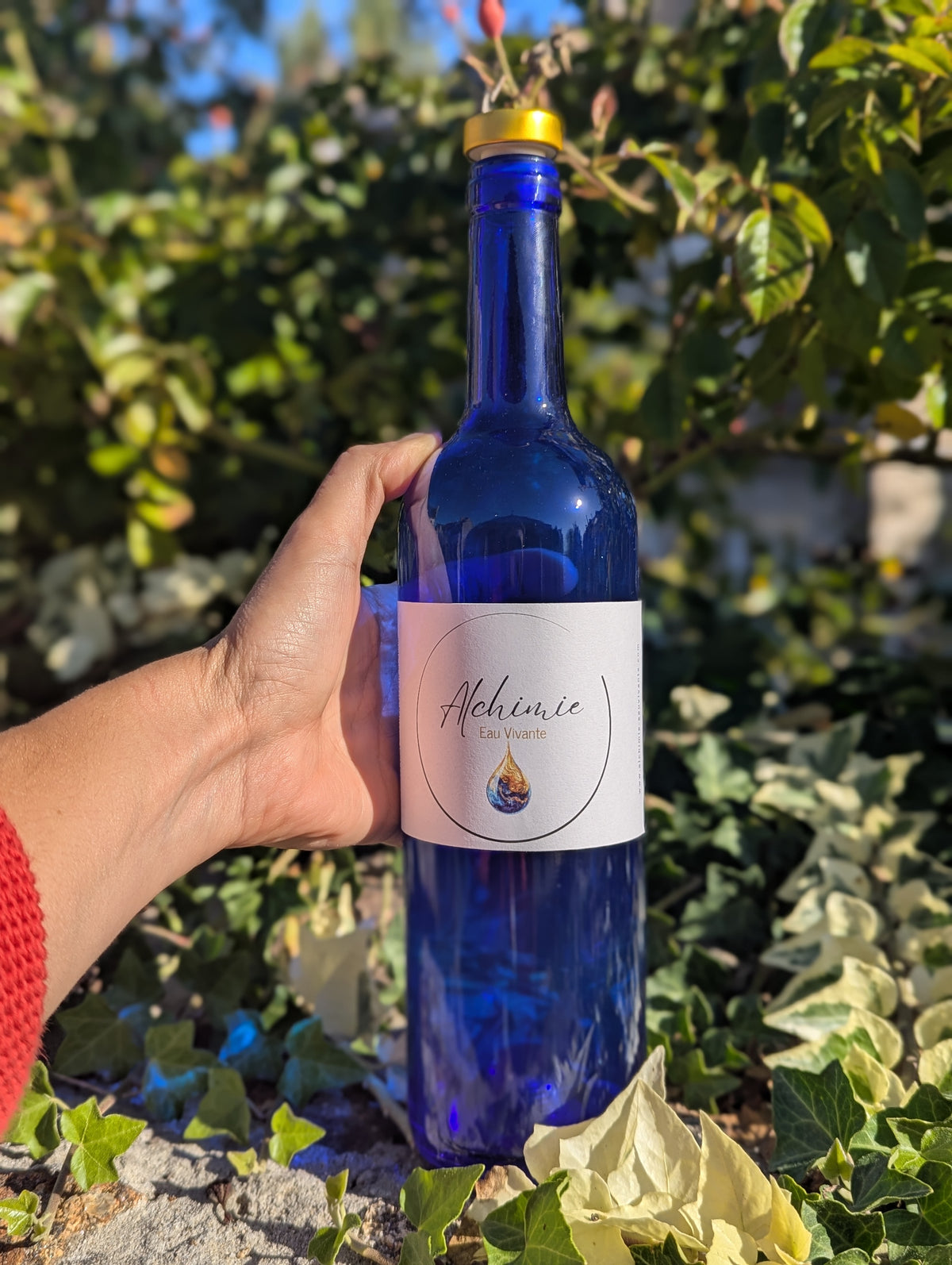 BOUTEILLE ALCHIMIE — EAU VIVANTE